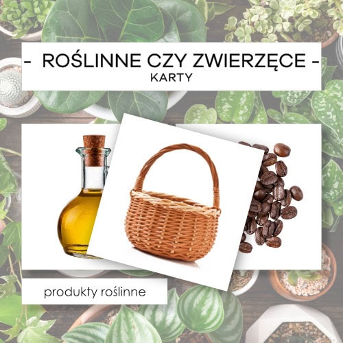 Produkty roślinne czy zwierzęce - karty 32 szt.
