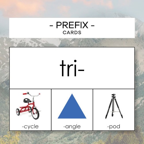 Prefix 2 – karty