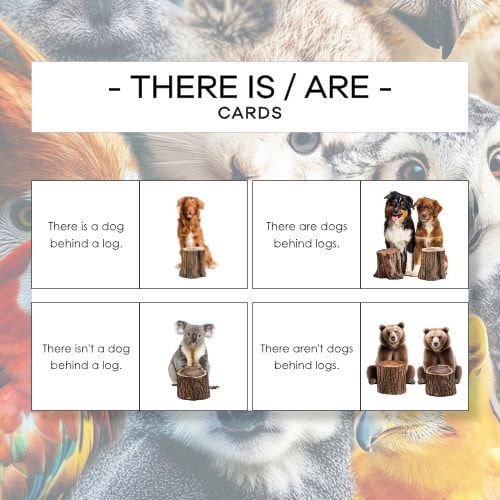 There is / there are – karty