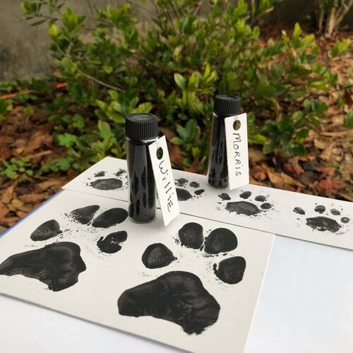 pet memorial dog and cat paw prints and cremated ashes
