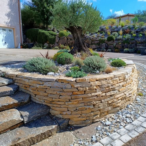 Jardin méditerranéen à Goyrans avec mur en pierre sèche du Lot, olivier central et lavandes pour une ambiance naturelle et montagnarde – Pierre Ô Jardin