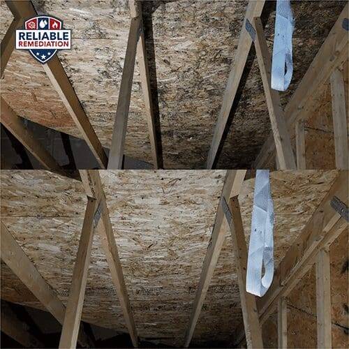 Attic Mold Removal