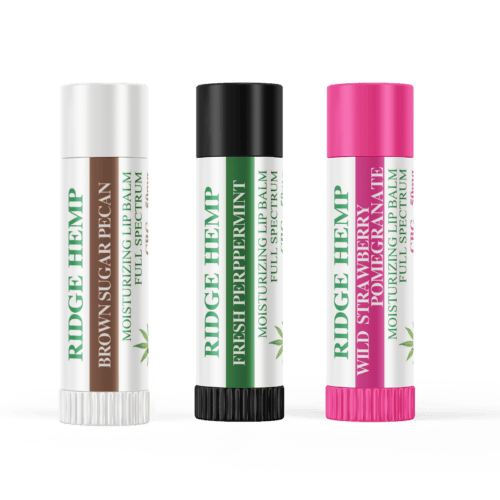3 lip balm containers of different color and flavor like wild strawberry brown sugar pecan and peppermint