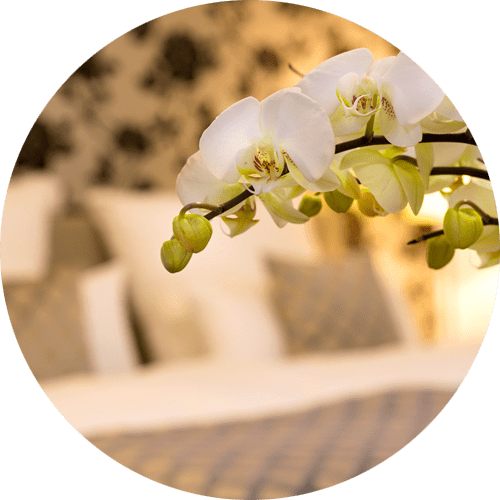 Blumendeko im Boarding House