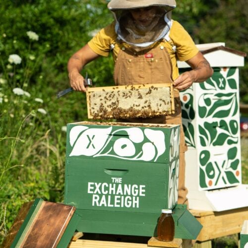 A beekeeper tends to the beehives in the pollinator gardens at Exchange Park in Raleigh