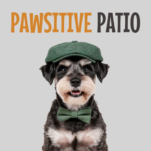 pawsitive patio