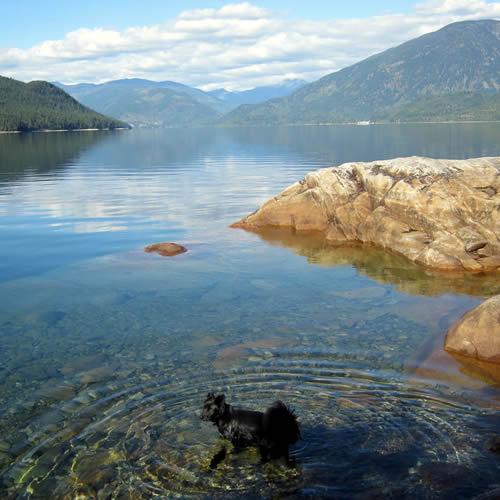 sofie in slocan lake