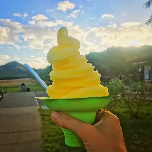 Dole Whip Ice Cream Oahu, Hawaii
