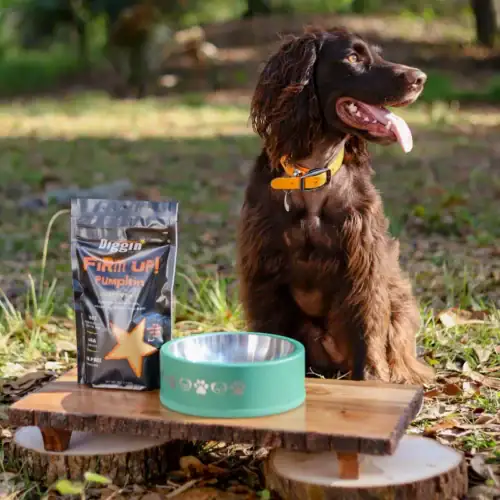 Regulador Gastrointestinal Firm Up!