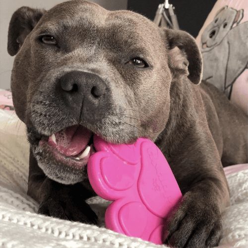 Mordedor Huella - Imagen 2