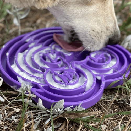 Salamandra Licki Mat - Imagen 2