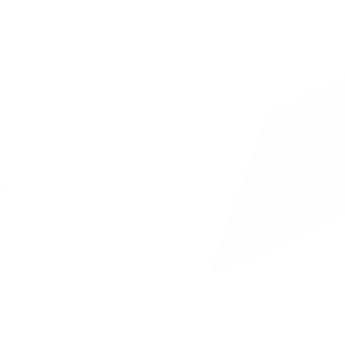 Which MLM Plan is Best for Beginners