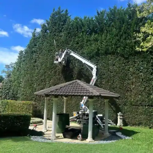 Tree Removal Service in Pennant Hills