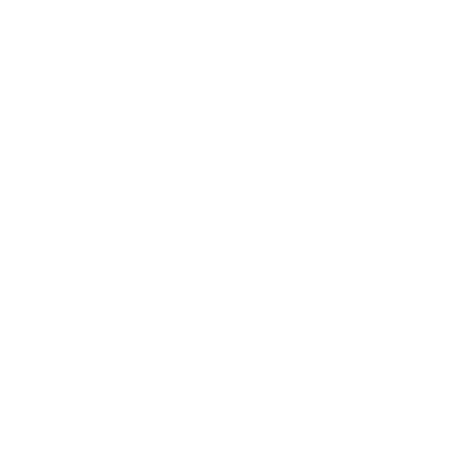 Begleitung+im+Alltag+ +Seniorinnen +und+Seniorenbetreuung+Schweiz