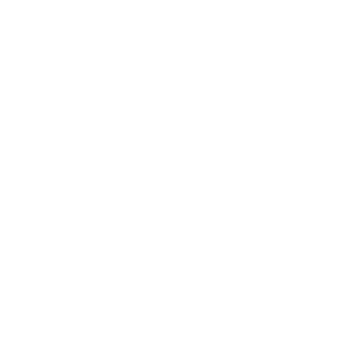 Wir sind flexibel Seniorinnen und Seniorenbetreuung Schweiz