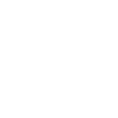 Wir sind sozialkompetent Seniorinnen und Seniorenbetreuung Schweiz