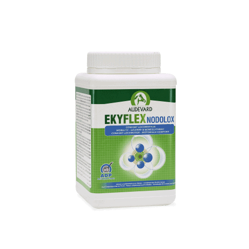 Audevard Ekyflex Nodolox – Cheval