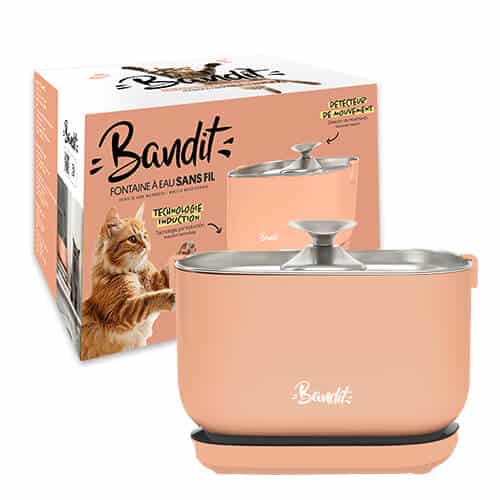 Fontaine à Eau Sans Fil BANDIT – Technologie Induction – 2,5 L – Couleur Pêche