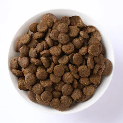 N&D DOG QUINOA SKIN&COAT AD MED & MAXI QUAIL 7 KG с пъдпъдък - Image 2