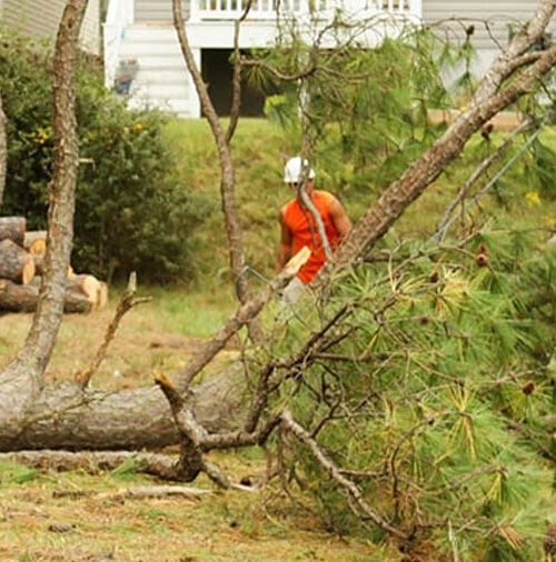Storm & Emergency Response