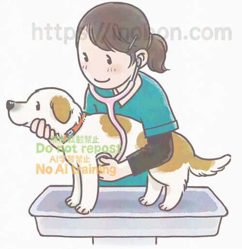愛玩動物看護師が聴診器を犬の胸に当てている