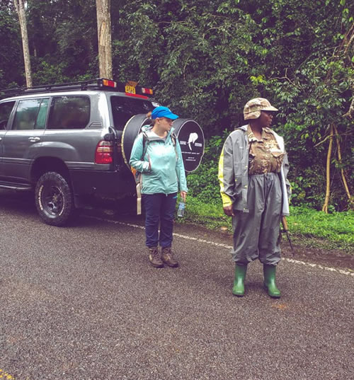 Monteero Safaris