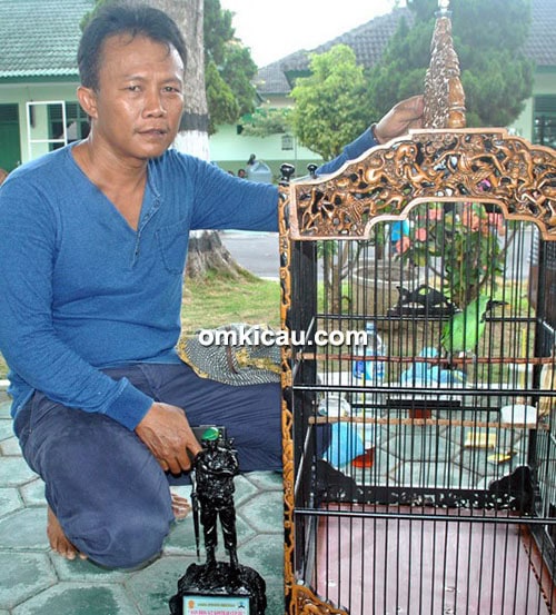 H Budi dan cucak hijau Green Joss