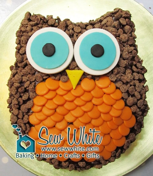 My Really Easy Owl Cake covered in chocolate chips with fondant sugar paste eyes and beak