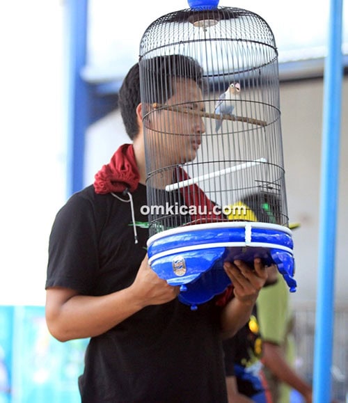 Lomba burung berkicau Transmart Cup 1 Jogja