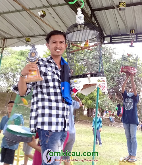 lovebird Cempok