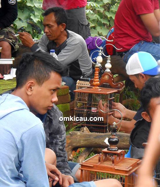 Kontes pleci PLPC Bandung
