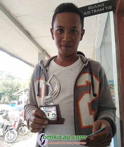 cucak jenggot Dea Imut
