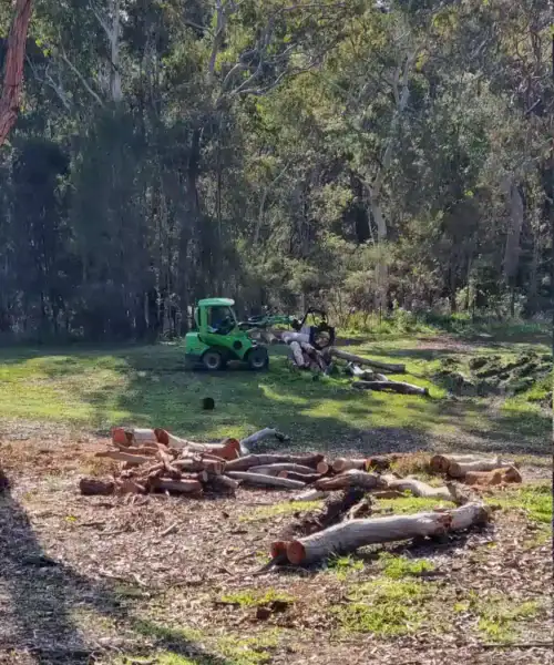 Tree Removal Baulkham Hills