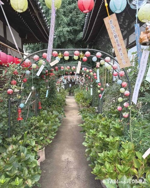 高野山真言宗 別格本山 おふさ観音 風鈴祭り 風鈴のトンネル