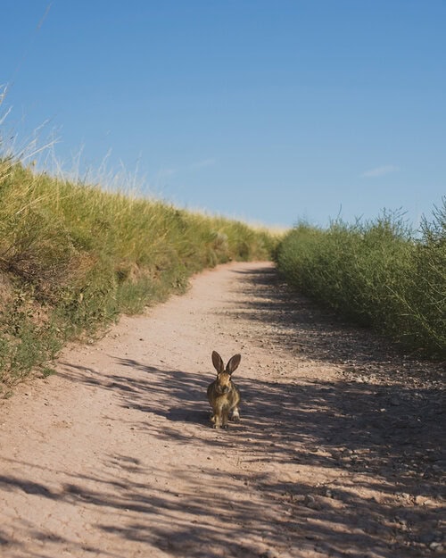 How to plan a weekend in Loveland Colorado