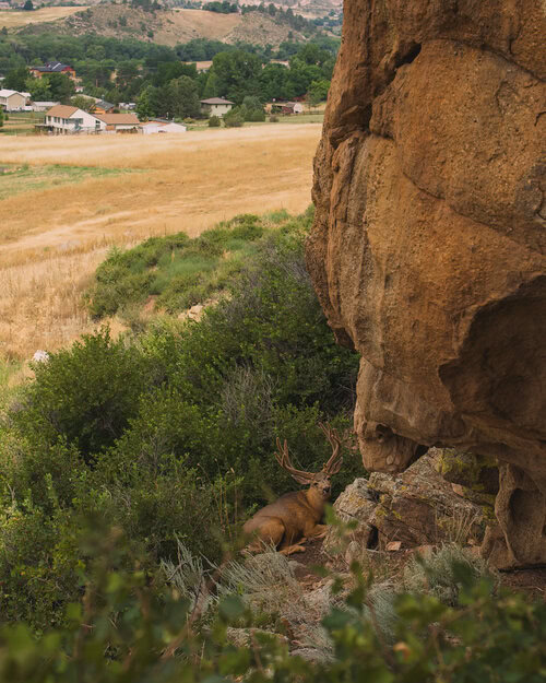 How to plan a weekend in Loveland Colorado