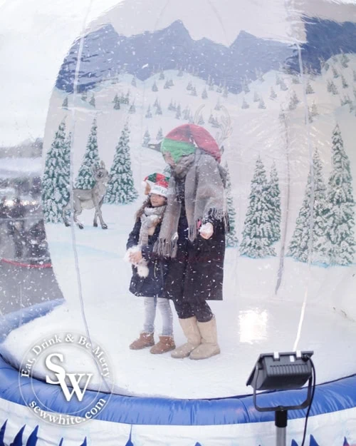 inflatable snow globe with family inside