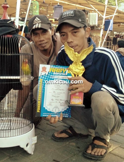 Lovebird Cinta milik Om Sahroni