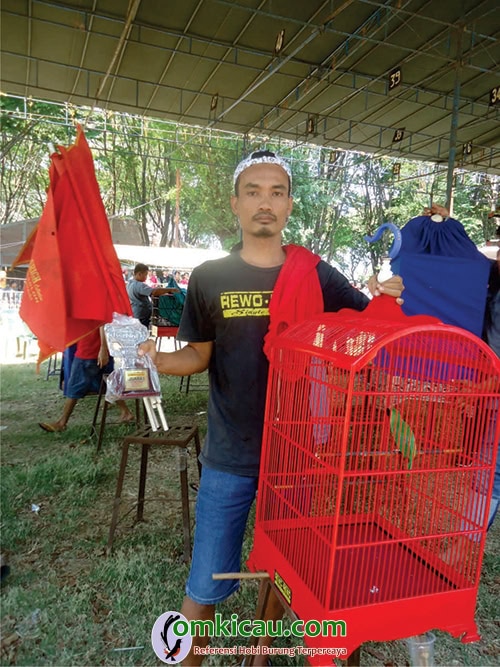 Cucak ijo Bintang