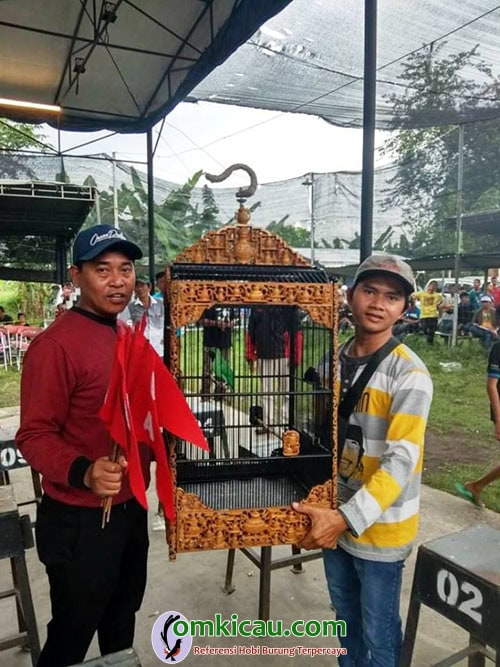 Cucak ijo Dalang