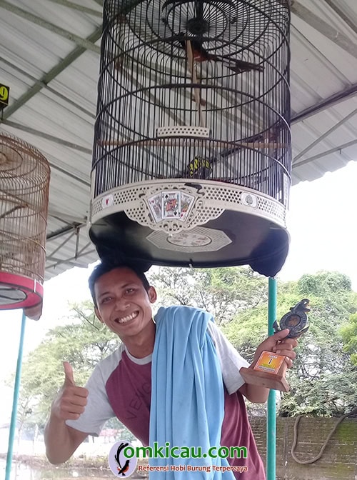 Murai batu Sawung Galih