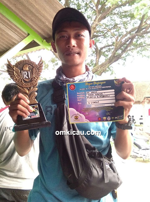 pleci Raja Sawer
