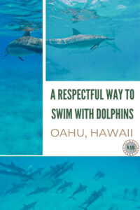 Did you know that it's possible to swim with wild dolphins on Oahu? Here's my review of an ocean tour with Dolphin Excursions Hawaii.