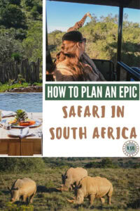 Want to live out your Lion King safar dreams? Make it happen with this complete guide to help you plan your visit to Bukela Game Lodge.