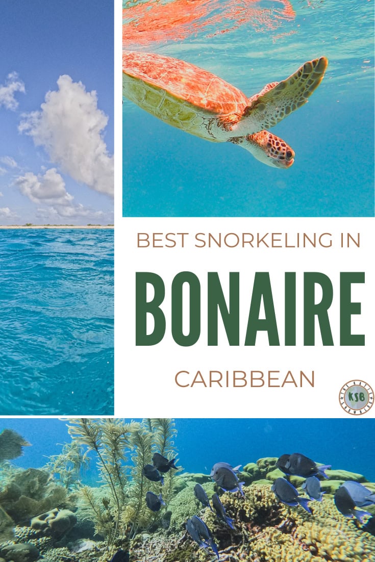 Here's my guide on all the best places to snorkel in Bonaire with everything you need to know to plan your adventures.