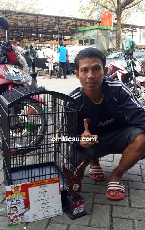 Cucak ijp Si Ngedur