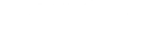 detroit stone and tile transparent logo