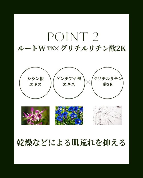 特徴2