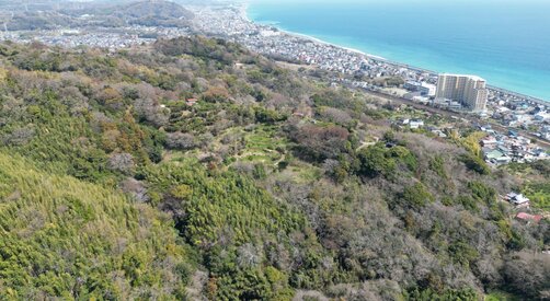 小田原市前川山林 5000㎡超え 480万円　販売中
