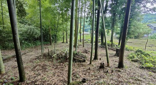 相模原市緑区根小屋 約413坪の売地 840万円
